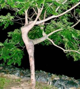dancing.jpg