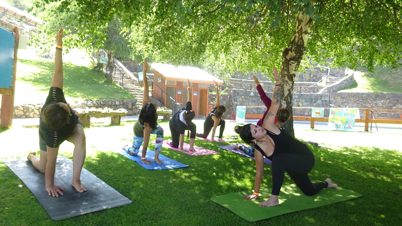 Certificación de nuevos Instructor@s de Yoga 14-02-2020